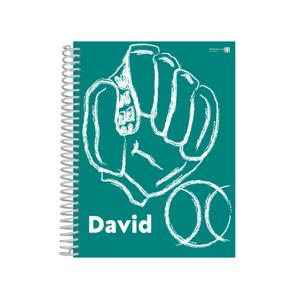 26-DAVID