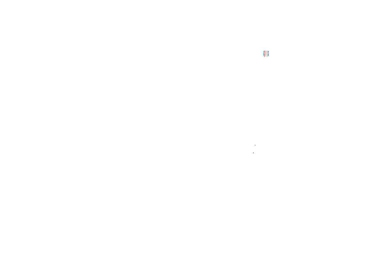 028-CAMILO