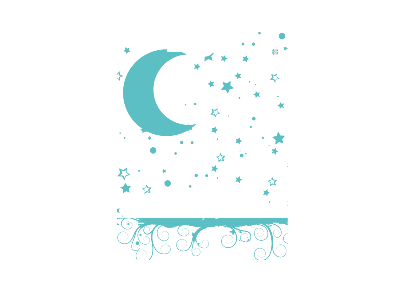 004-MELISSA-T