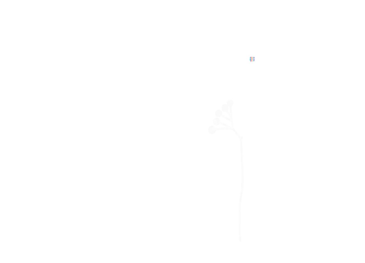 006-MARCELA-T